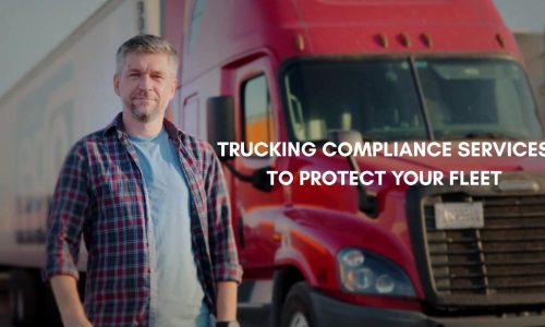 Stay Audit-Ready: Expert Trucking Solutions’ HOS Monthly Audits Mastery